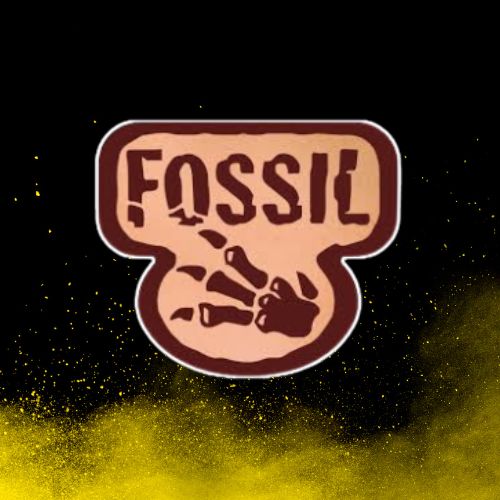 Singles Wizards Of The Coast - Fossil