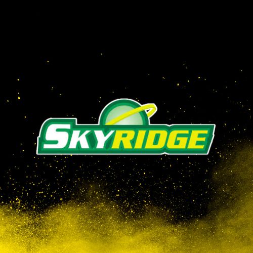 Singles Wizards Of The Coast - Skyridge (E-Card)