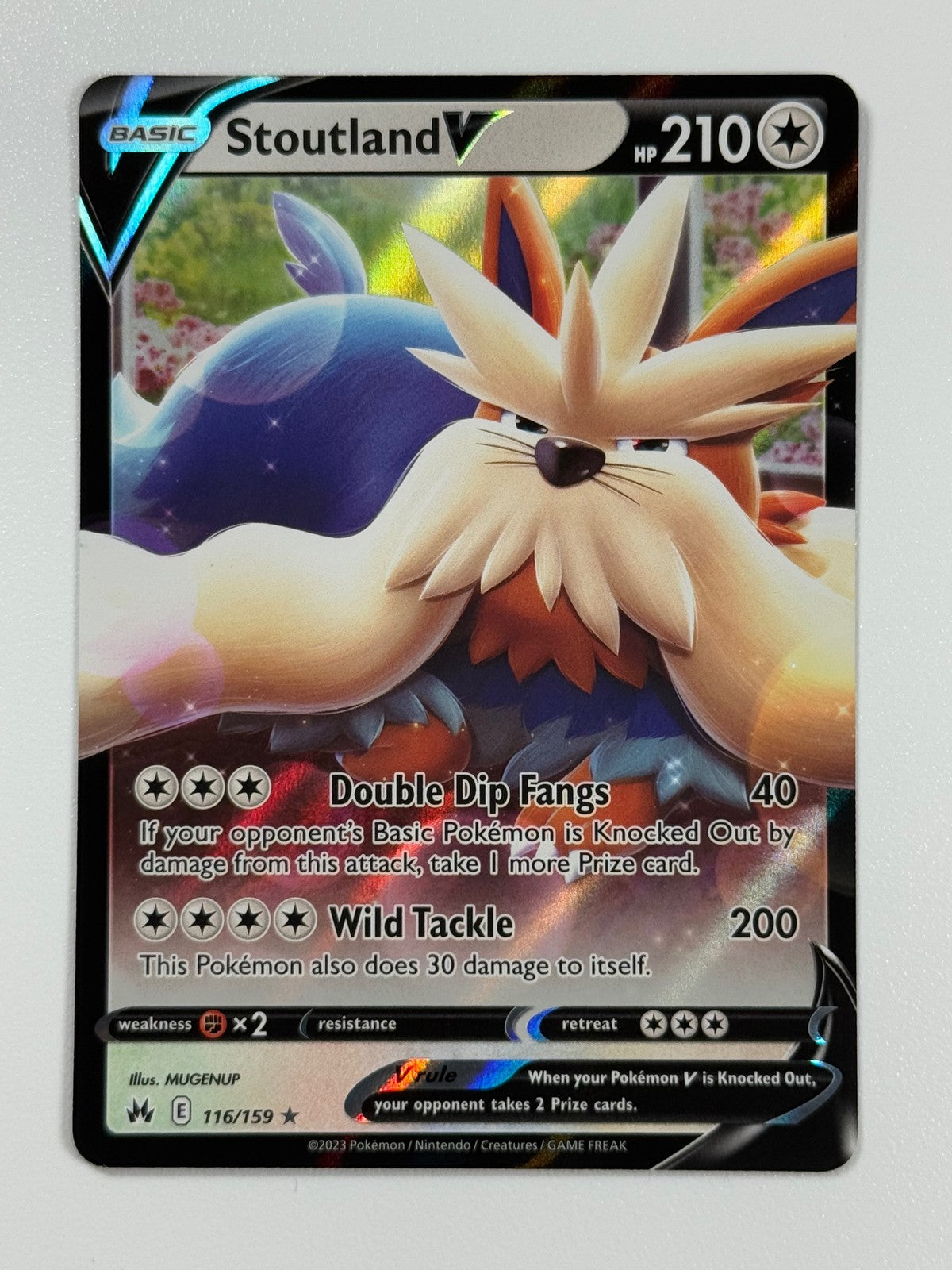 Pokemon Cards Stoutland V 116/159 Crown Zenith Holo Rare V0