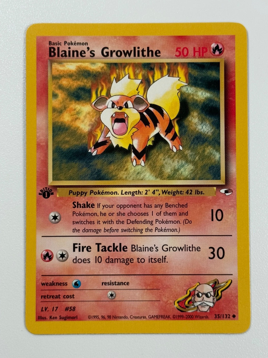 Pokémon Cards Blaine's Growlithe 35/132 1ST EDITION Gym Heroes WOTC Uncommon0