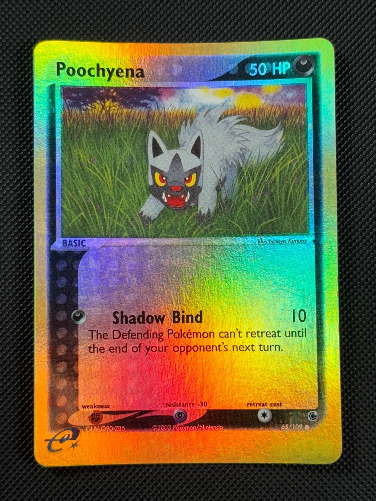 Poochyena 65/109 REVERSE HOLO Pokémon Card EX Ruby & Sapphire Holo Common0