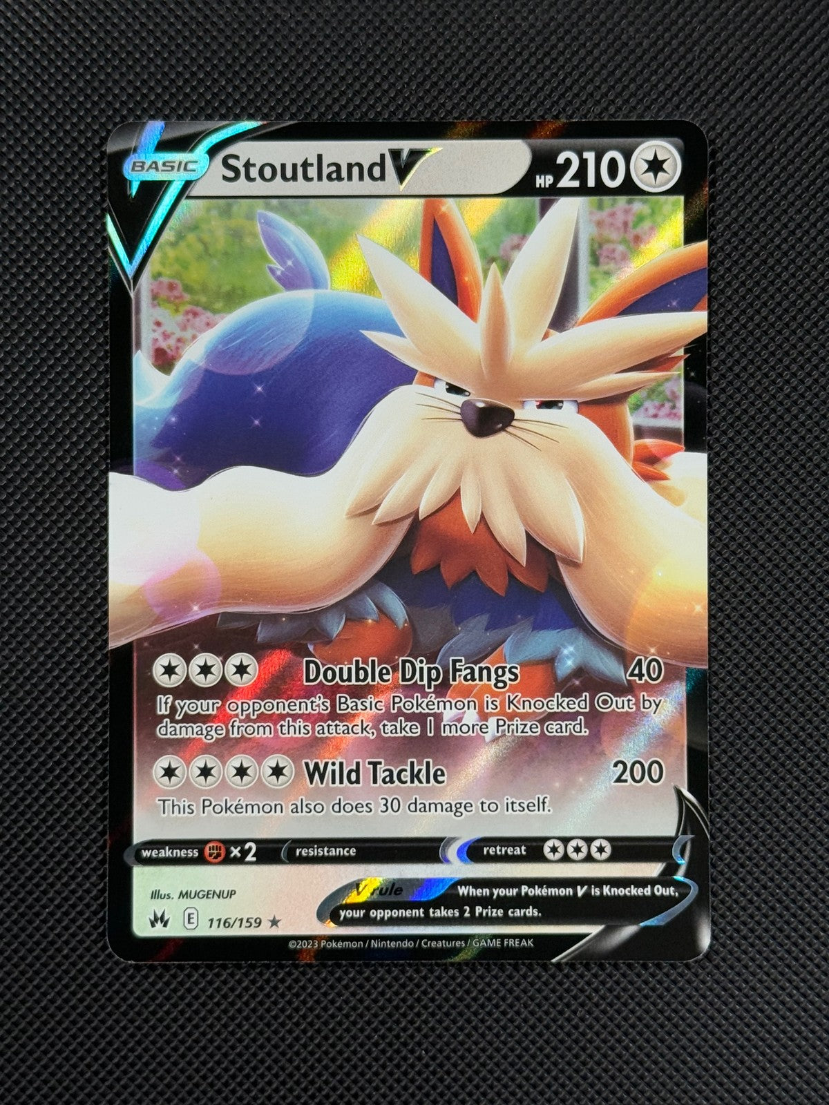 Pokemon Cards Stoutland V 116/159 Crown Zenith Holo Rare V1