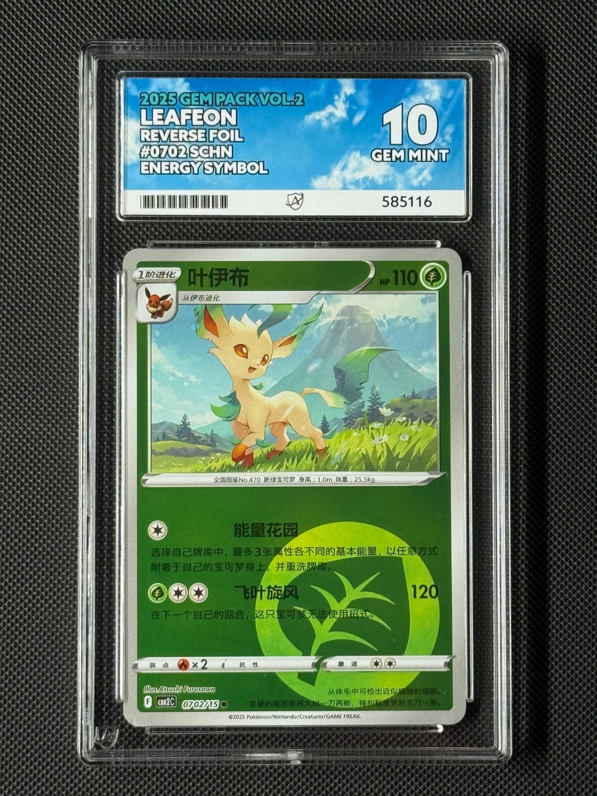 ACE 10 Leafeon 0702/15 Chinese Pokémon Card CBB2C GEM Pack Vol.2 GEM MINT *20